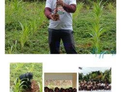 Warga Desa Dolok Saribu Lumban Nabolon Bersama KPBRT Gelar Hari Menanam Pohon Indonesia Disponsori Perum Jasa Tirta