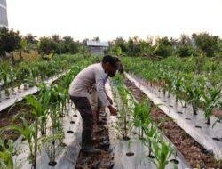 Polisi Sambangi Lahan Kelompok Tani, Dukung Program Asta Cita Presiden RI