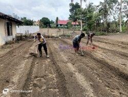 Polsek Kerumutan Buka Lahan Ketahanan Pangan, Dukung Program Ketahanan Pangan