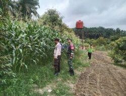 Bhabinkamtibmas Polsek Ukui dan Babinsa Berikan Motivasi Ke Petani