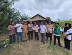 Bersama Camat dan Korwil Pertanian, Kapolsek Teluk Meranti Panen Jagung Manis dan Serahkan Bibit kepada Petani
