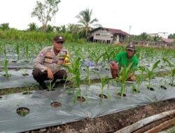 Polisi Sambangi Kebun Pekarangan Bergizi Mandiri Warga di Kuala Kampar