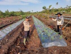 Bhabinkamtibmas sambangi Kebun Pekarangan Bergizi untuk Dukung Program Asta Cita Presiden RI
