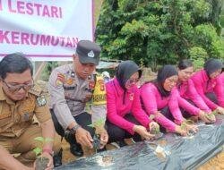 Program Pekarangan Pangan Lestari untuk Dukung Ketahanan Pangan di Kerumutan