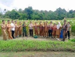 Polsek Bunut Gelar Panen Raya Jagung Serentak Tahap I Dukung Program Asta Cita