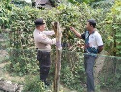 Mendukung Ketahanan Pangan, Polsek Pangkalan Lesung Berkoordinasi dengan Masyarakat Petani