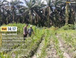 Bhabinkamtibmas Polsek Ukui Aktif Dukung Program Asta Cita Presiden