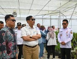 Direktur TSTH2 Prof Sri Fatmawati : 50 % Hasil Ditentukan Kualitas Bibit