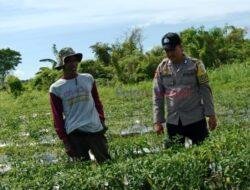Dukung Program Asta Cita, Polisi Kunjungi Pekarangan Bergizi di Desa Serapung