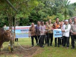Bupati Humbahas Serahkan Bantuan Sapi Kurban Presiden dan Wakil Presiden di Kecamatan Tarabintang dan Parlilitan