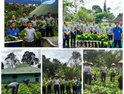 Rutan Tarutung Berhasil Panen 40 kg Sayuran Pakcoy, Karutan : “Bukti Pembinaan Kemandirian Berjalan Baik”
