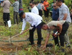 ‎Bupati Tapanuli Utara Canangkan Penanaman Sejuta Pohon Durian untuk Pemulihan Pascabencana