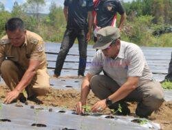 ‎Bupati Taput Dorong BUMDes Sisordak Jadi Pemasok Program Makan Bergizi Gratis
