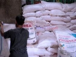 Petani Bahalbatu II Soroti Pembagian Pupuk, Dugaan Permainan Mafia Kios