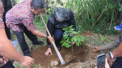 ‎Pemkab Tapanuli Utara gandeng TJSL PT. Taspen (Persero) berikan 1.500 bibit Durian Unggul kepada Kelompok Tani Kecamatan Parmonangan ‎