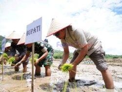 Wabup Deni Buka Uji Sertifikasi Tenaga Kerja Konstruksi Taput